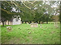 Churchyard, Manningford Abbotts (1)