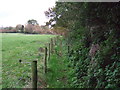 Footpath off Wigan Lane (A5106)