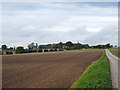 Field adjacent to Westley Lane