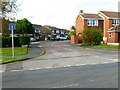 Looking into Yew Tree Gardens