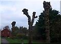 St Barnabas Church, Easterton: church path