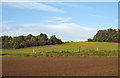 Earthen field north of Spring Wood