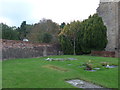 St. Michael, Urchfont: churchyard (d)