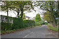 Lane towards Shuttlesfield and Acrise