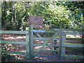 Footpath into Tips Copse