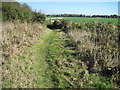 Footpath towards Tanner Lane