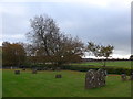 St Matthew, Rushall: churchyard (d)