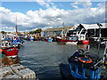 Whitstable harbour