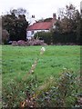 Old house on the edge of Old Clee