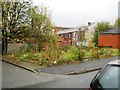 Derelict plot, Tavistock Road