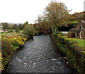 Upstream along the Llynfi, Coytrahen