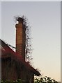 Chimney-stack, Downs Road, Maldon