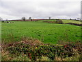 Ballymullarty Townland