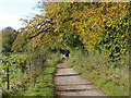 Footpath to big High Grove