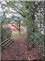 Footpath at Witham St Hughs