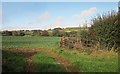 Field near Whalley Farm