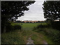 Public footpath to Stanford on Soar