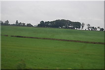 SE2165 : Farmland near Brimham Rocks by N Chadwick