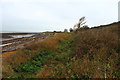 Mull of Galloway Trail at Drumantrae Bay