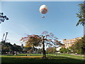 SZ0891 : Bournemouth: an autumnal tree and the balloon by Chris Downer