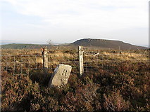 NZ0198 : Boundary Stone, Ravens Heugh by Andrew Curtis