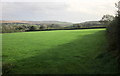 SX5461 : Field near Coldstone Farm by Derek Harper