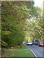 Newton Road (A382) south of Bovey Tracey