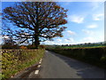 Road scene near Lower Stanton