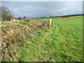 Field gate alongside a bend in the beck