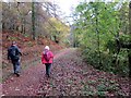 Trac Cronfa Cefn Cwrt Reservoir Track