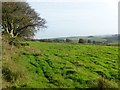 Grass field next to B3223 near Cloven Rocks