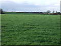 Grazing near Moorside Farm