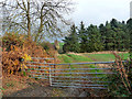 Gate and farm track, Kibblesworth Common