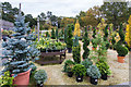 The garden centre at Batsford Arboretum