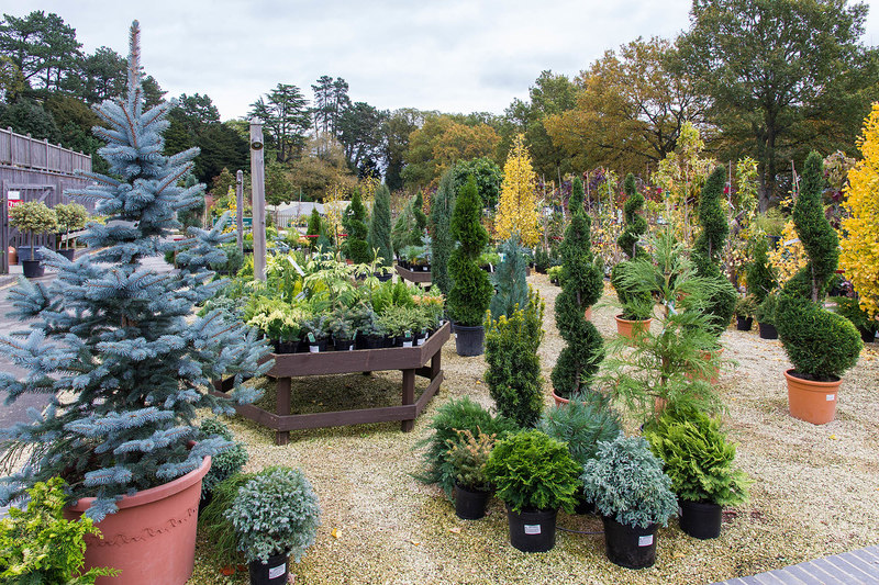 The garden centre at Batsford Arboretum © David P Howard :: Geograph ...