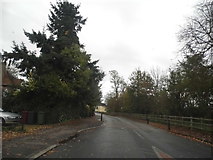 TQ0376 : Road narrowing on Bath Road, Poyle by David Howard