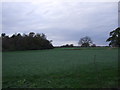 Farmland near Bartle Hall