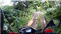 Green Lane near Snowdon Nab