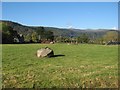 Glacial erratic boulder