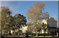 Houses on  Wellington Square, Cheltenham