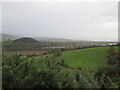 Farmland View From Pen Pant-y-sais