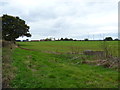 Farmland near Poulshot