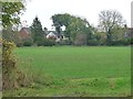 Houses on Pegsdon Way, Pegsdon