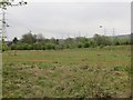 Overgrown playing fields