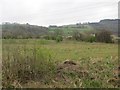 Overgrown playing fields