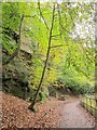 Path by the Frome