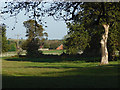 Farmland near Pirbright