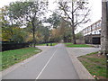 TQ2579 : Holland Walk, Kensington by Paul Gillett