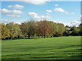 Golf  course, Harlow