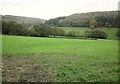 Field boundary, Spuncombe Bottom